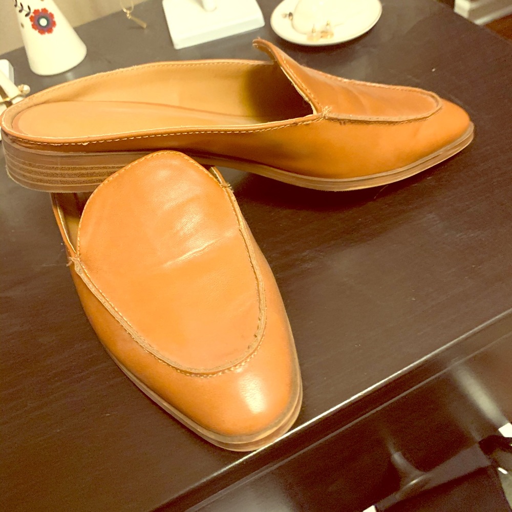 Chestnut mules